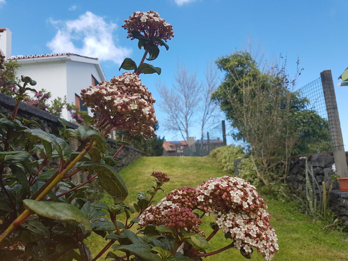 Stonewood Lodge Al Sao Vicente Ferreira Exterior photo